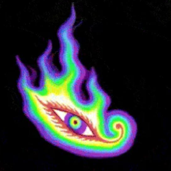 Contributor's profile picture