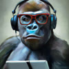Contributor's profile picture
