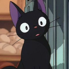 Contributor's profile picture