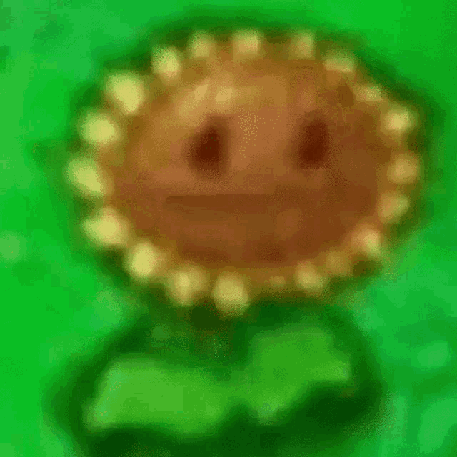 Contributor's profile picture
