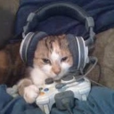 Contributor's profile picture